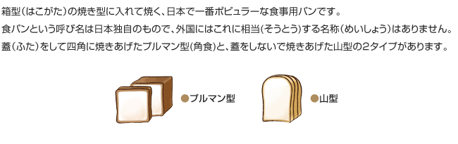 箱型（はこがた）の焼き型に入れて焼く、日本で一番ポピュラーな食事用パンです。
食パンという呼び名は日本独自のもので、外国にはこれに相当(そうとう)する名称（めいしょう）はありません。蓋（ふた）をして四角に焼きあげたプルマン型(角食)と、蓋をしないで焼きあげた山型の2タイプがあります。