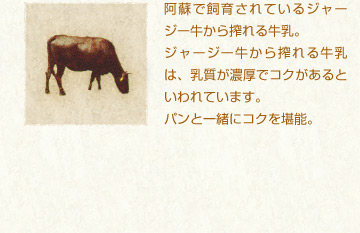 阿蘇で飼育されているジャージー牛から搾れる牛乳。
ジャージー牛から搾れる牛乳は、乳質が濃厚でコクがあるといわれています。
パンと一緒にコクを堪能。