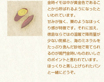 金時イモは中が黄金色であることから呼ばれるようになったといわれています。
甘みが強く、栗のようなほっくり感が特徴です。それに加え、徳島ならではの温暖で降雨量が少ない気候と、海のミネラルをたっぷり含んだ砂地で育てられるのが鳴門金時いものおいしさのポイントと言われています。
ほっくりと蒸し上げられたパンと一緒にどうぞ。