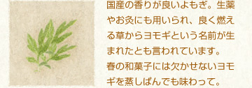 国産の香りが良いよもぎ。生薬やお灸にも用いられ、良く燃える草からヨモギという名前が生まれたとも言われています。
春の和菓子には欠かせないヨモギを蒸しぱんでも味わって。