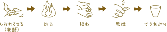 しおれさせる(発酵)→炒る→揉む→乾燥→できあがり
