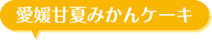 愛媛甘夏みかんケーキ